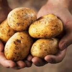 Are Potatoes Bad for Fatty Liver Disease