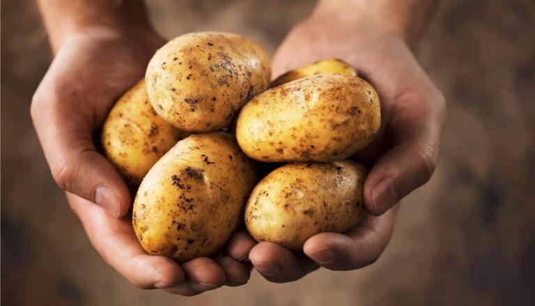 Are Potatoes Bad for Fatty Liver Disease