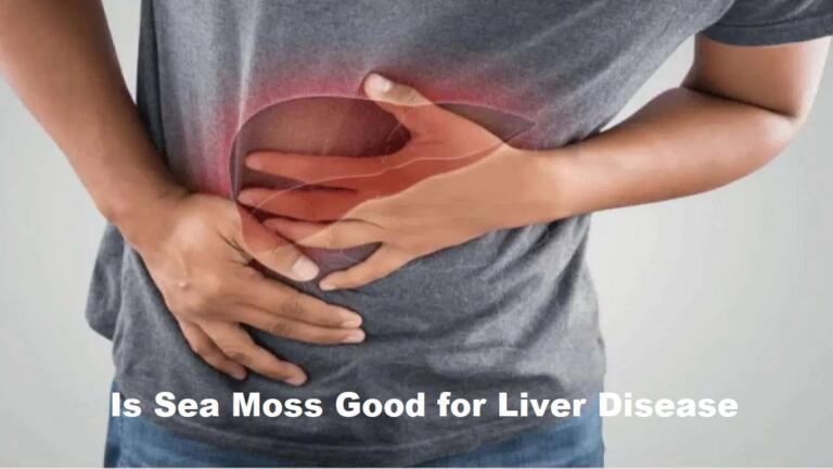 Is Sea Moss Good for Fatty Liver