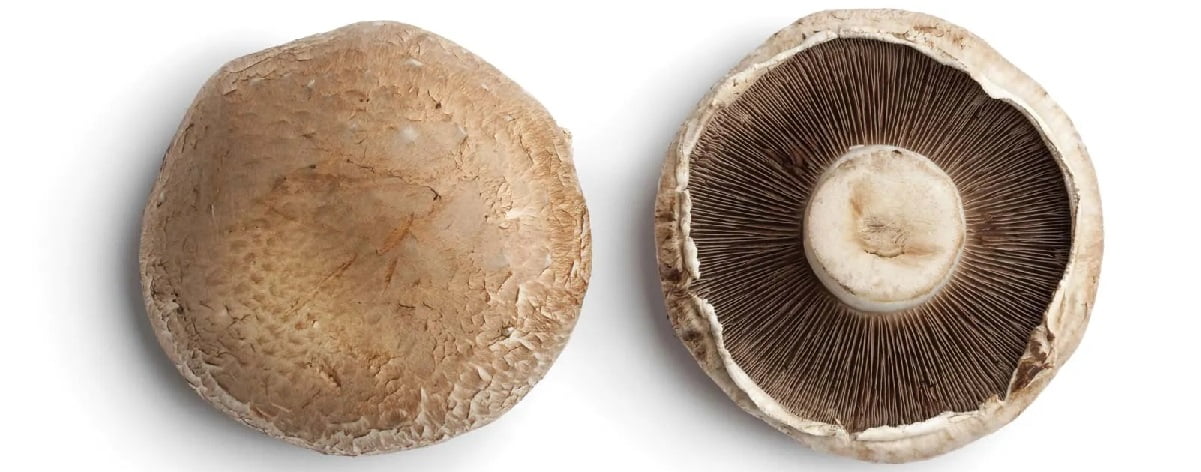 portobello mushrooms