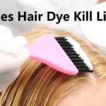 Does Hair Dye Kill Lice A detailed Guide About Hair Dye