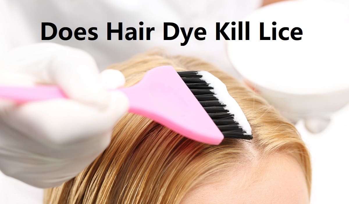 Does Hair Dye Kill Lice A detailed Guide About Hair Dye