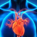 Hypertensive Heart Disease