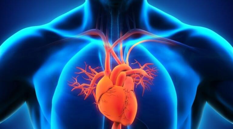 Hypertensive Heart Disease