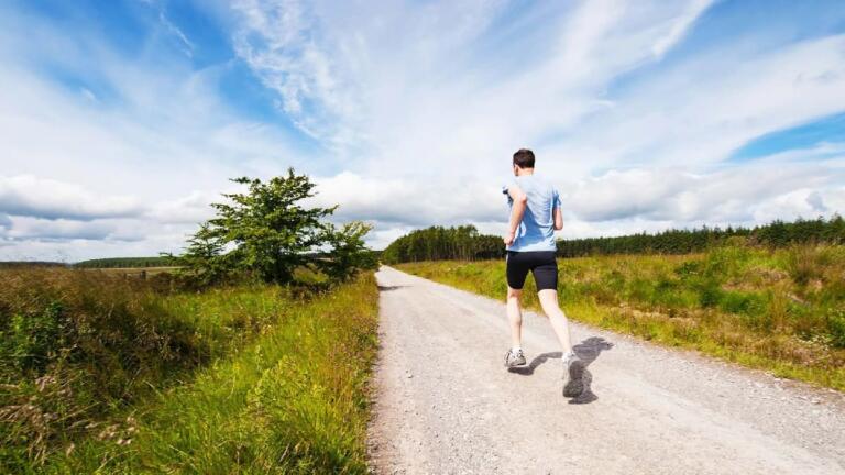 What are the 5 Things for a Healthy Life